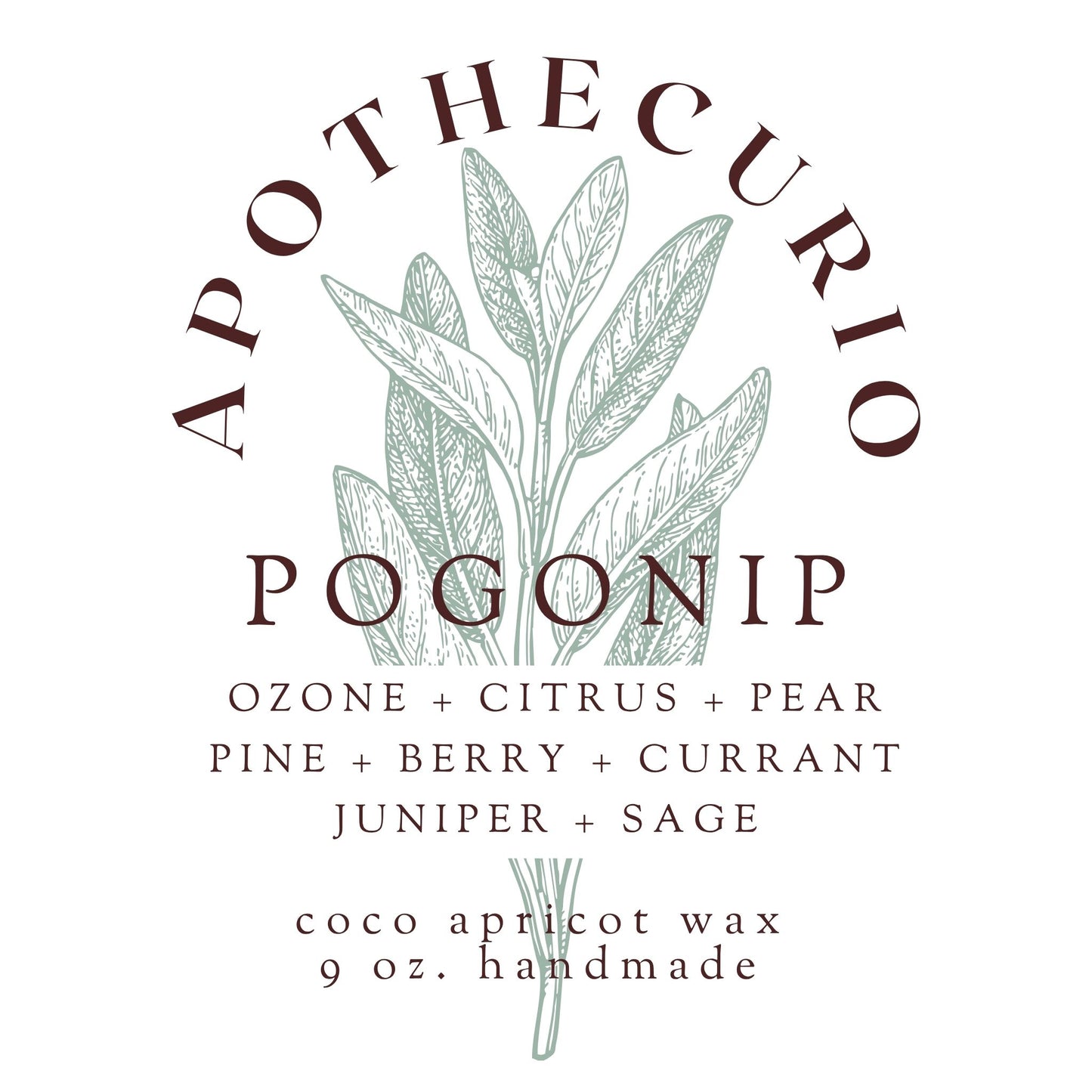 Pogonip Candle - 9oz | Apothecurio