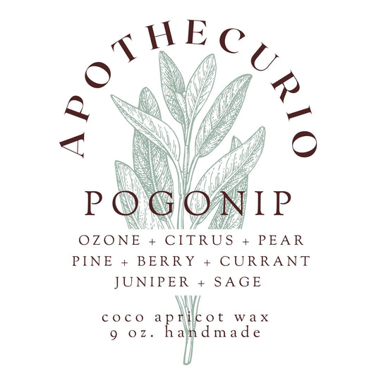Pogonip Candle - 9oz | Apothecurio